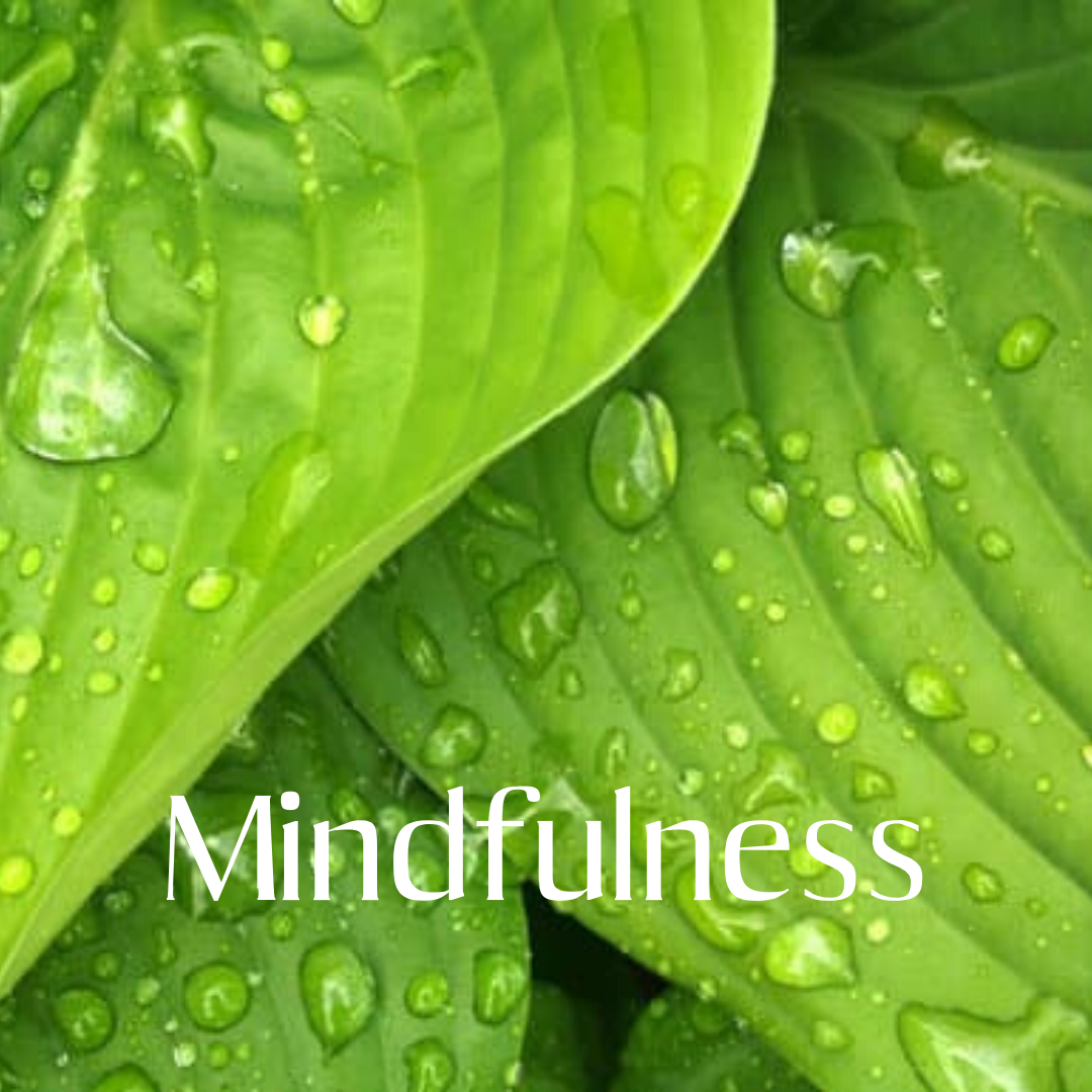 Mindfulness beleving
