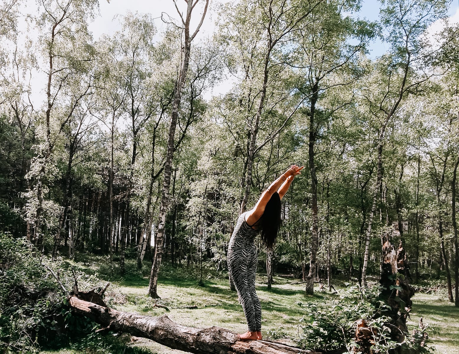 One with Nature, Forest bathing & Mindfulness beleving